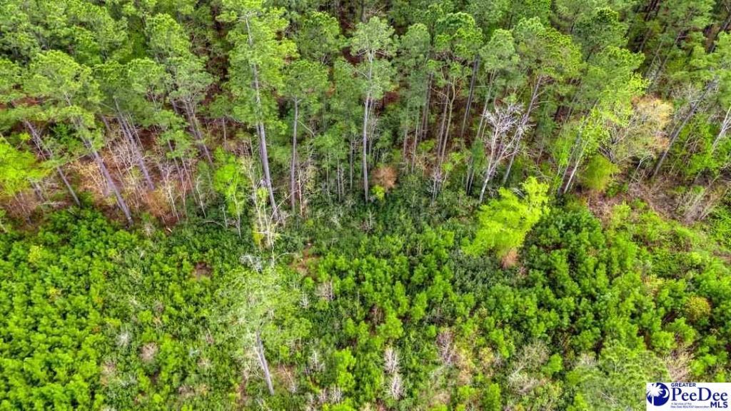 Tbd Jordan Rd Photo 9