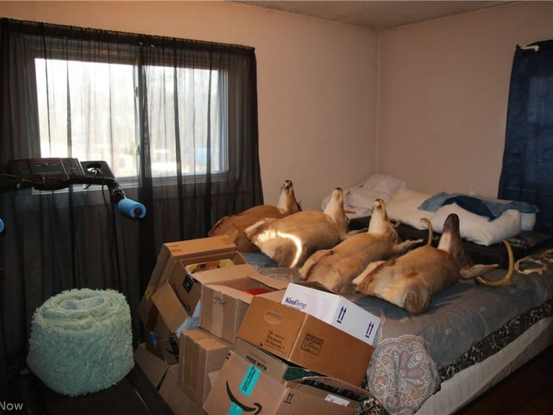 10024 Cummins Lane, Deerfield, OH 44411 Photo 11