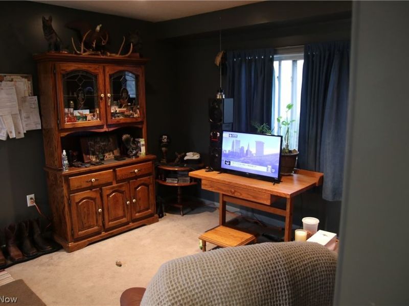 10024 Cummins Lane, Deerfield, OH 44411 Photo 5