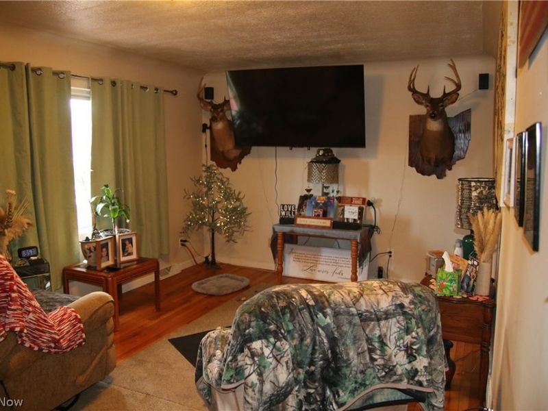 10024 Cummins Lane, Deerfield, OH 44411 Photo 8