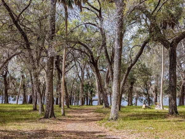 0 FOREST  02, #2, SE 150TH STREET, UMATILLA, FL 32784