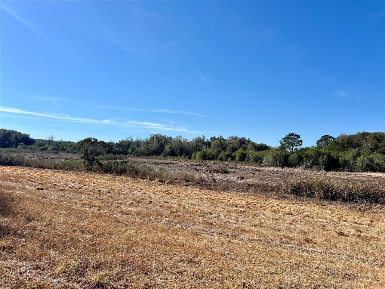 0 Forest  02, #2, SE 150th Street, Umatilla, FL 32784 Photo