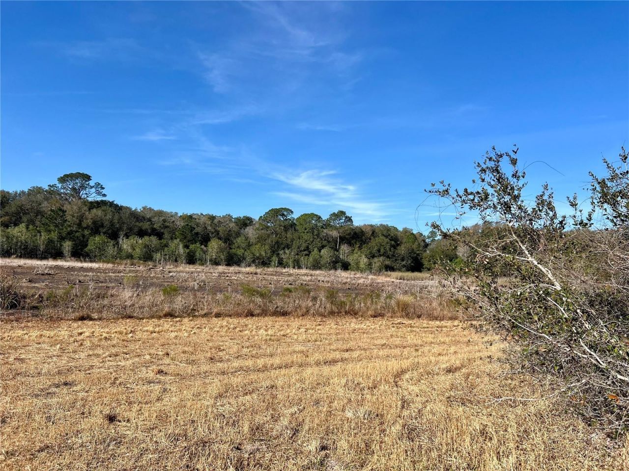 0 Forest  02, #2, SE 150th Street, Umatilla, FL 32784 Photo