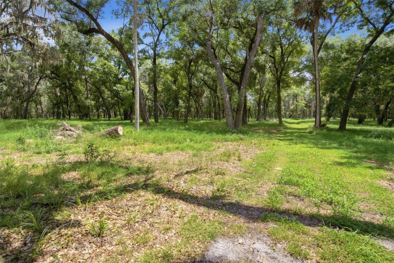 0 Forest  02, #2, SE 150th Street, Umatilla, FL 32784 Photo