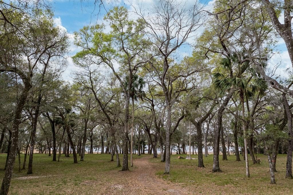 0 Forest  02, #2, SE 150th Street, Umatilla, FL 32784 Photo