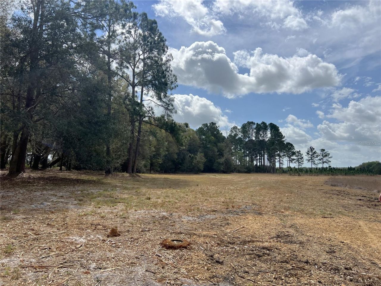 0 Forest  02, #2, SE 150th Street, Umatilla, FL 32784 Photo