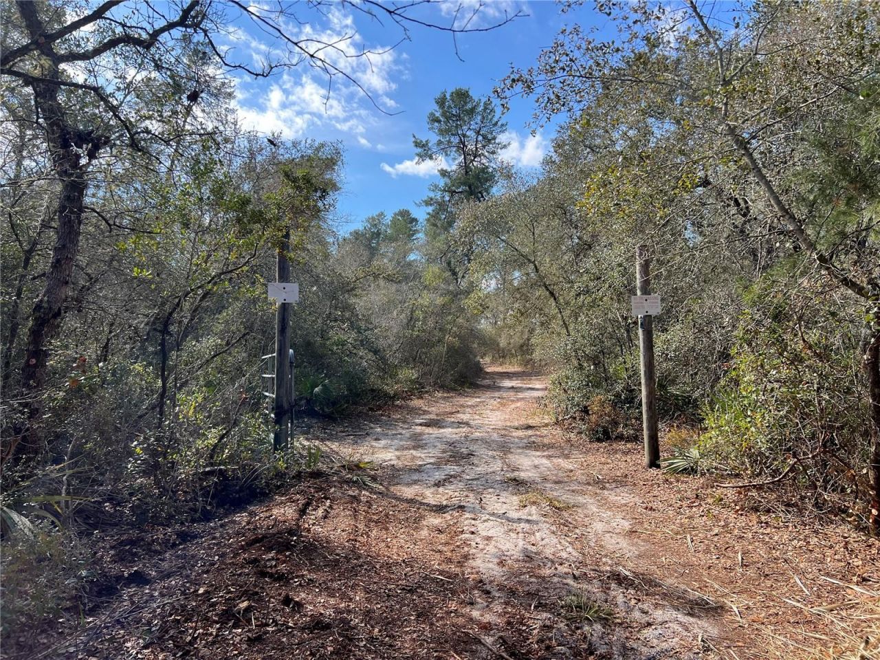 0 Forest  02, #2, SE 150th Street, Umatilla, FL 32784 Photo