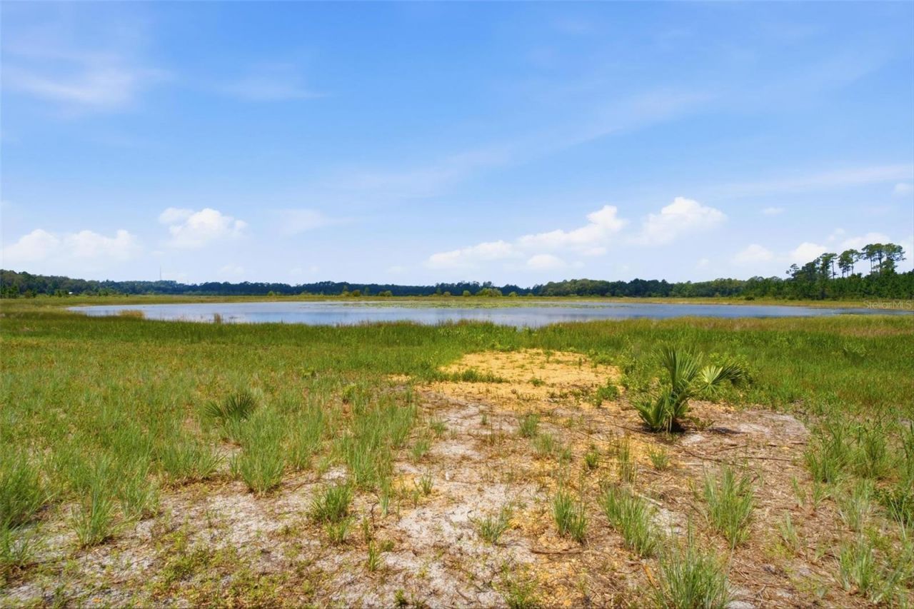 0 Forest  02, #2, SE 150th Street, Umatilla, FL 32784 Photo