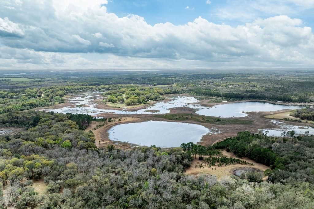 Forest  02 Road , Umatilla, FL 32784 Photo