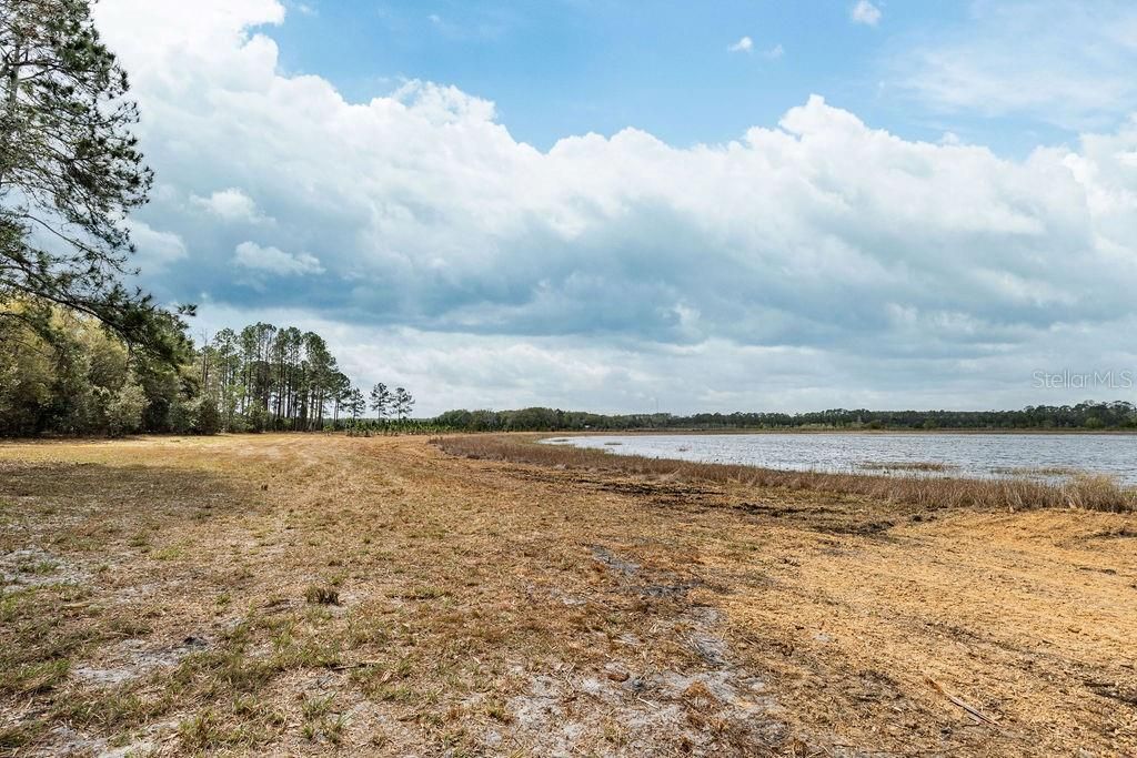 0 Forest  02, #2, SE 150th Street, Umatilla, FL 32784 Photo