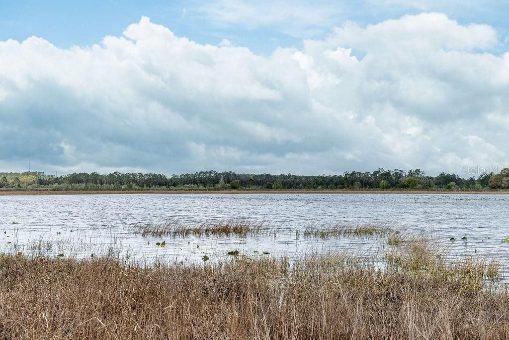 0 Forest  02, #2, SE 150th Street, Umatilla, FL 32784 Photo