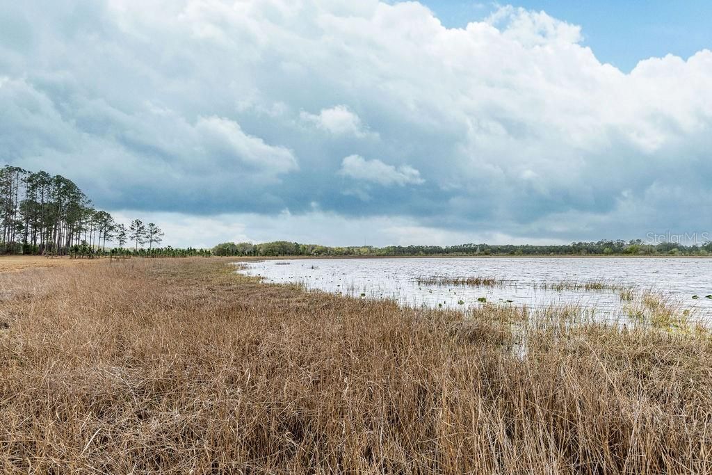 0 Forest  02, #2, SE 150th Street, Umatilla, FL 32784 Photo