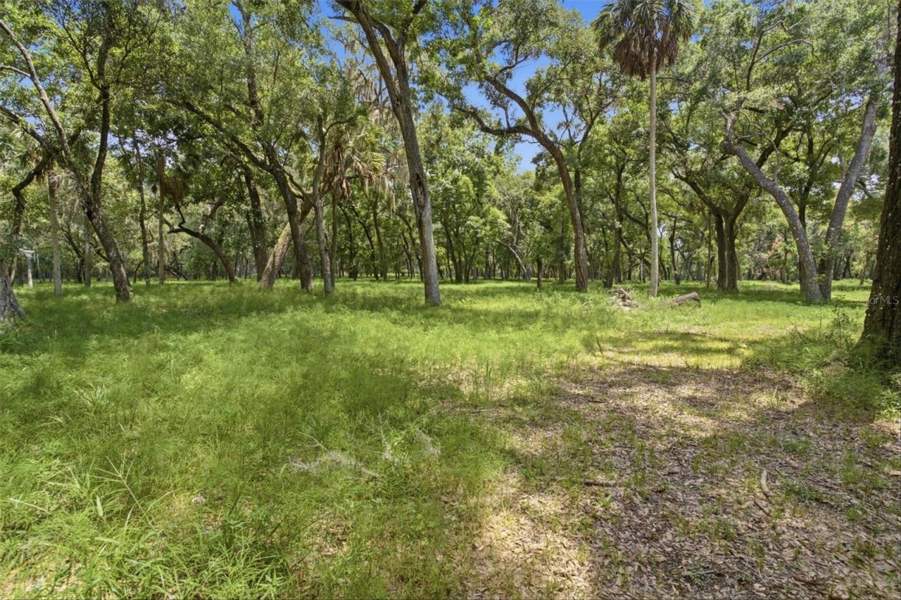 0 Forest  02, #2, SE 150th Street, Umatilla, FL 32784 Photo