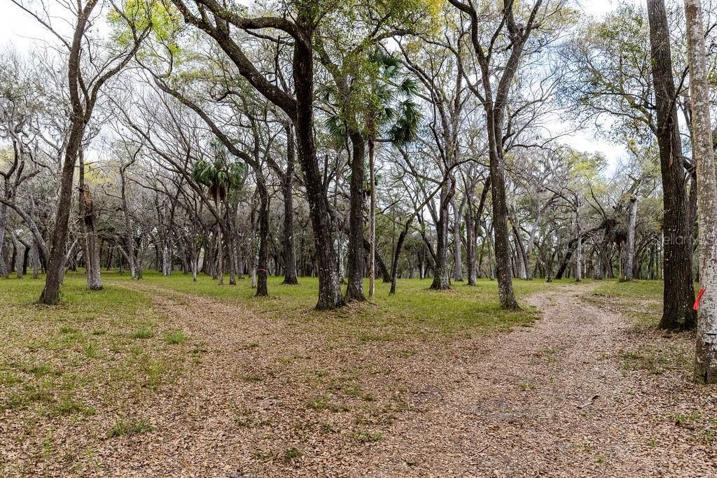 0 Forest  02, #2, SE 150th Street, Umatilla, FL 32784 Photo