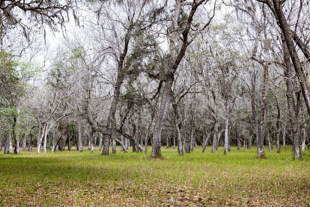 0 Forest  02, #2, SE 150th Street, Umatilla, FL 32784 Photo