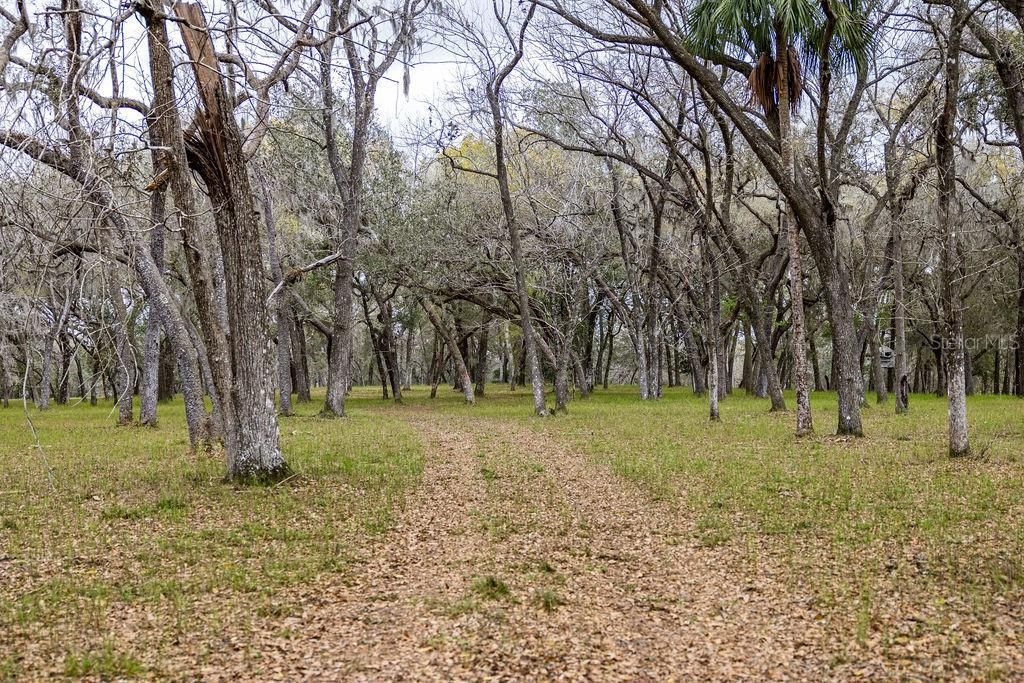 0 Forest  02, #2, SE 150th Street, Umatilla, FL 32784 Photo