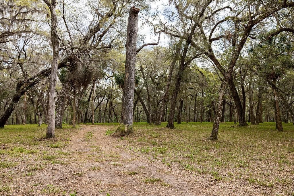 0 Forest  02, #2, SE 150th Street, Umatilla, FL 32784 Photo