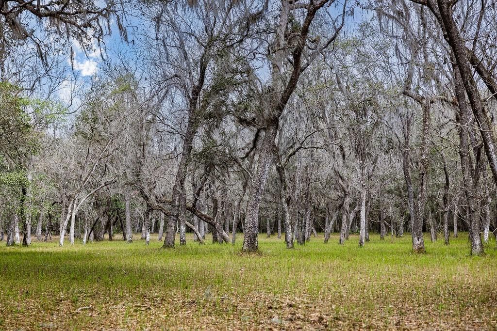 0 Forest  02, #2, SE 150th Street, Umatilla, FL 32784 Photo