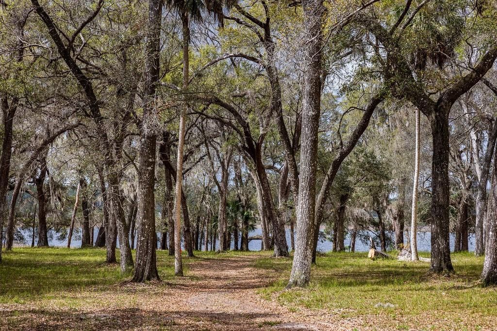 0 Forest  02, #2, SE 150th Street, Umatilla, FL 32784 Photo