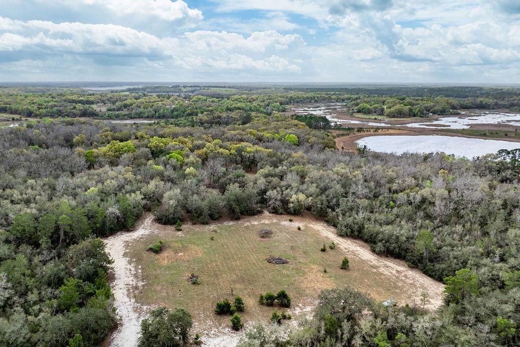 0 Forest  02, #2, SE 150th Street, Umatilla, FL 32784 Photo