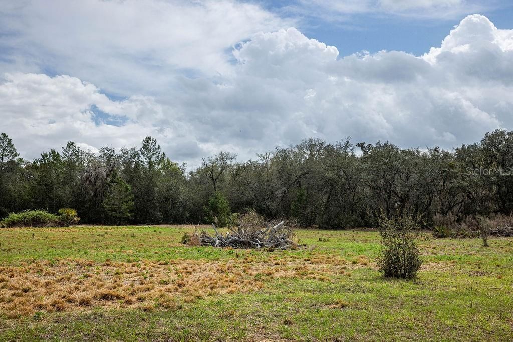 0 Forest  02, #2, SE 150th Street, Umatilla, FL 32784 Photo