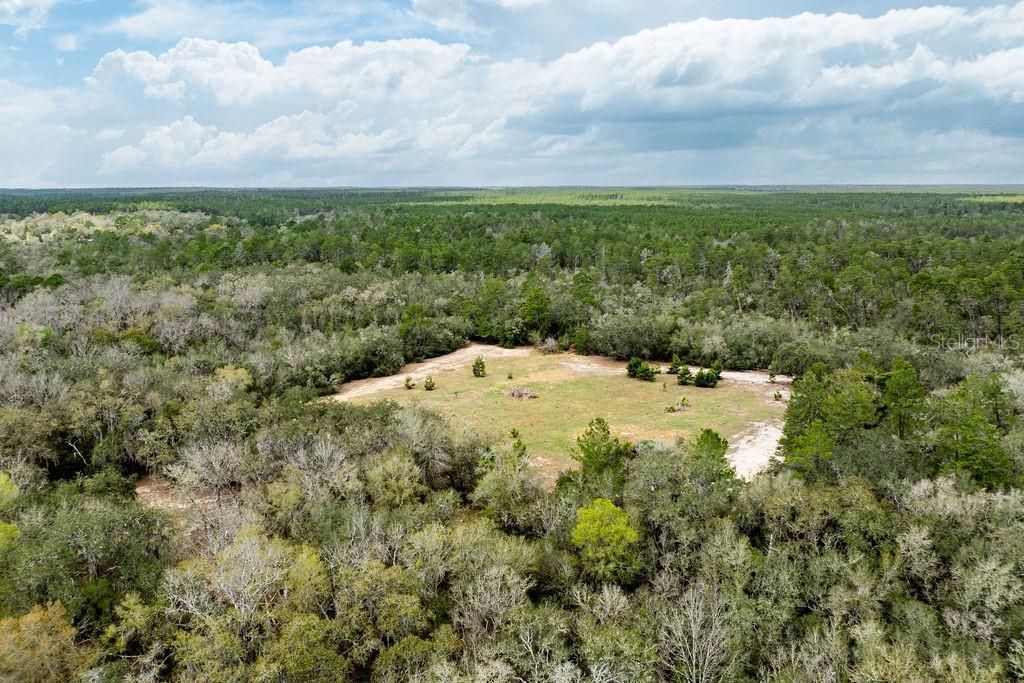 0 Forest  02, #2, SE 150th Street, Umatilla, FL 32784 Photo