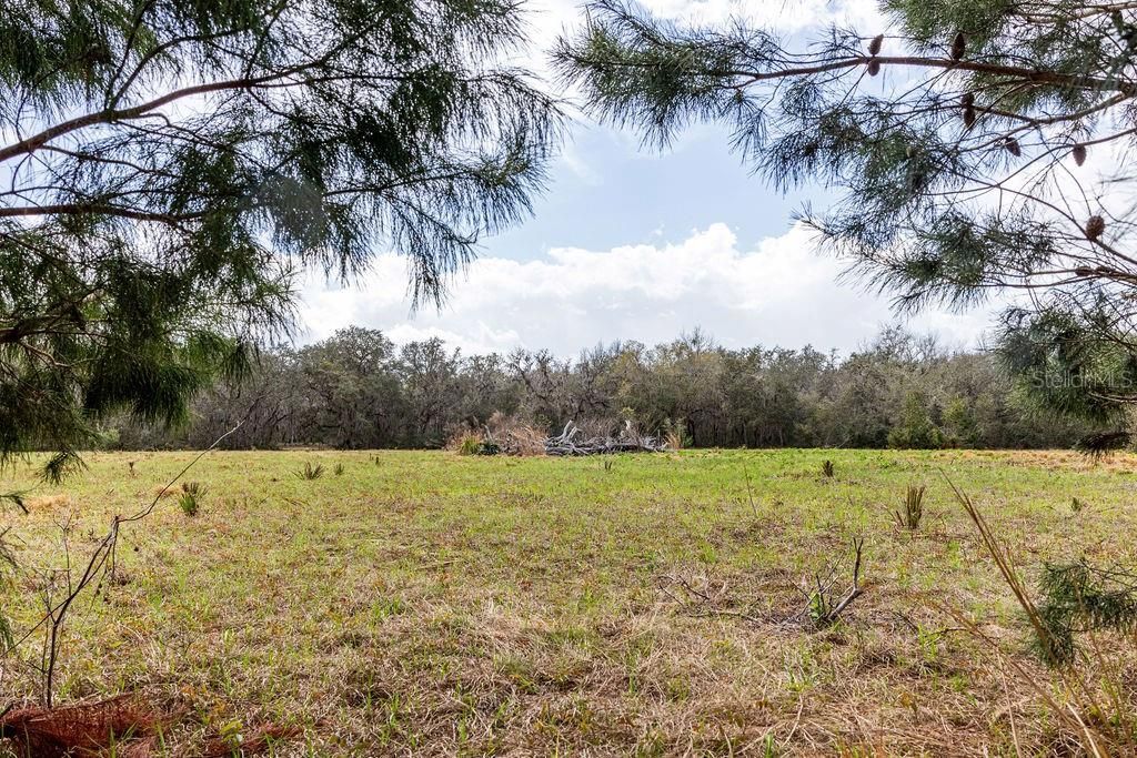 0 Forest  02, #2, SE 150th Street, Umatilla, FL 32784 Photo