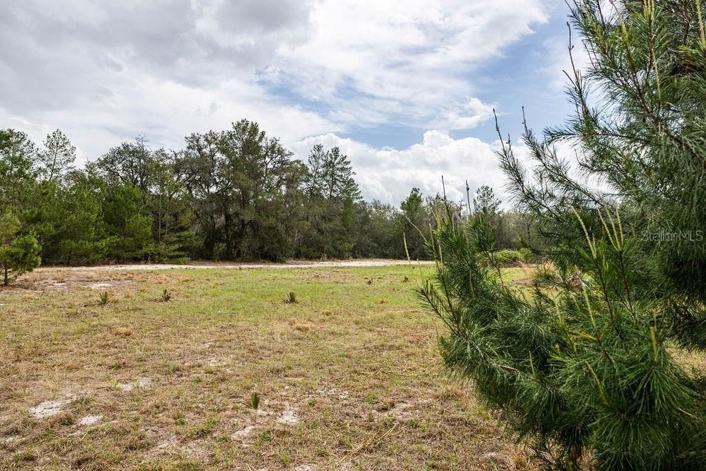 0 Forest  02, #2, SE 150th Street, Umatilla, FL 32784 Photo