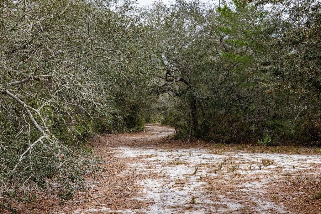 0 Forest  02, #2, SE 150th Street, Umatilla, FL 32784 Photo