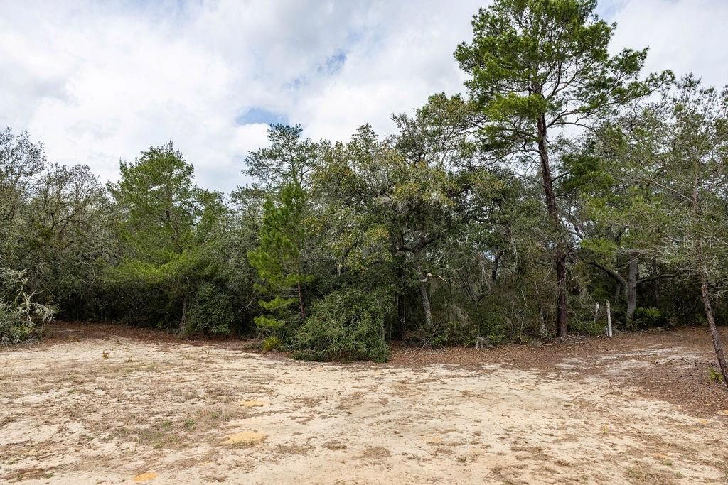 0 Forest  02, #2, SE 150th Street, Umatilla, FL 32784 Photo