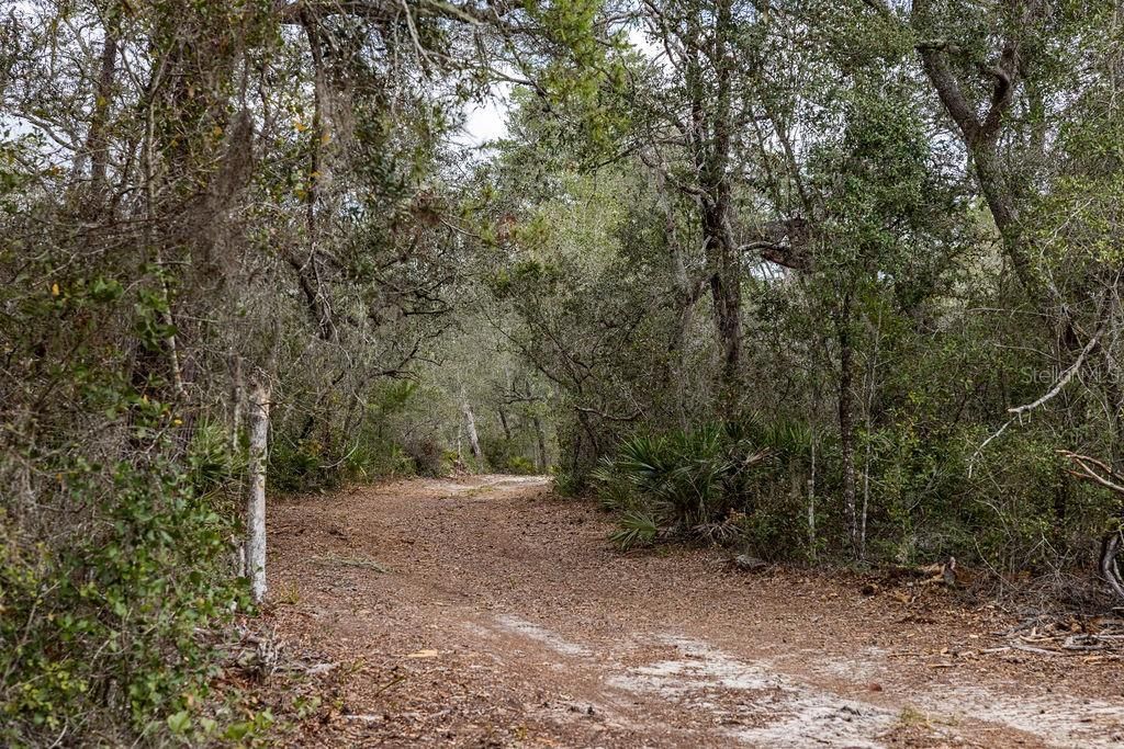 0 Forest  02, #2, SE 150th Street, Umatilla, FL 32784 Photo