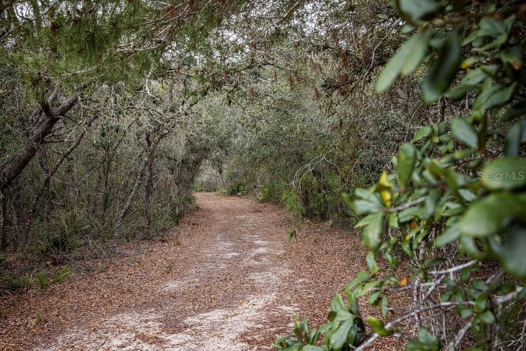 0 Forest  02, #2, SE 150th Street, Umatilla, FL 32784 Photo