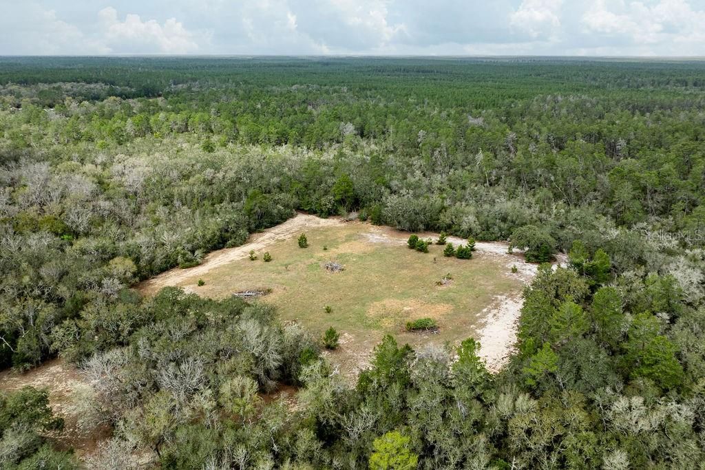 0 Forest  02, #2, SE 150th Street, Umatilla, FL 32784 Photo