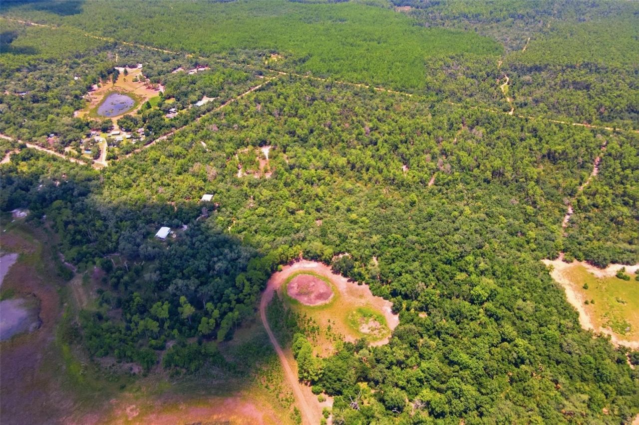0 Forest  02, #2, SE 150th Street, Umatilla, FL 32784 Photo