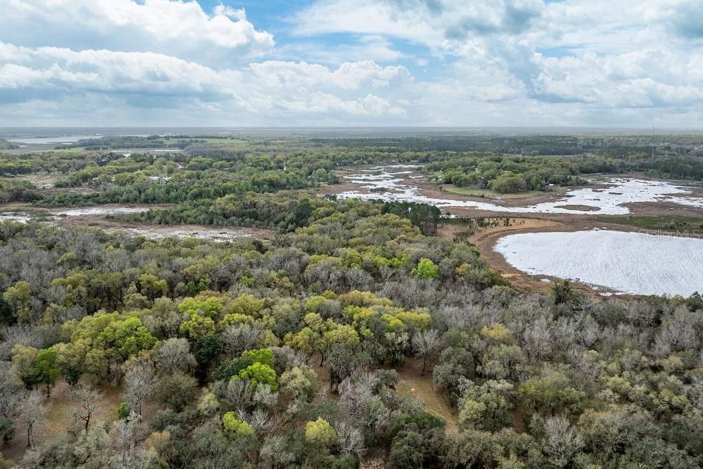 0 Forest  02, #2, SE 150th Street, Umatilla, FL 32784 Photo