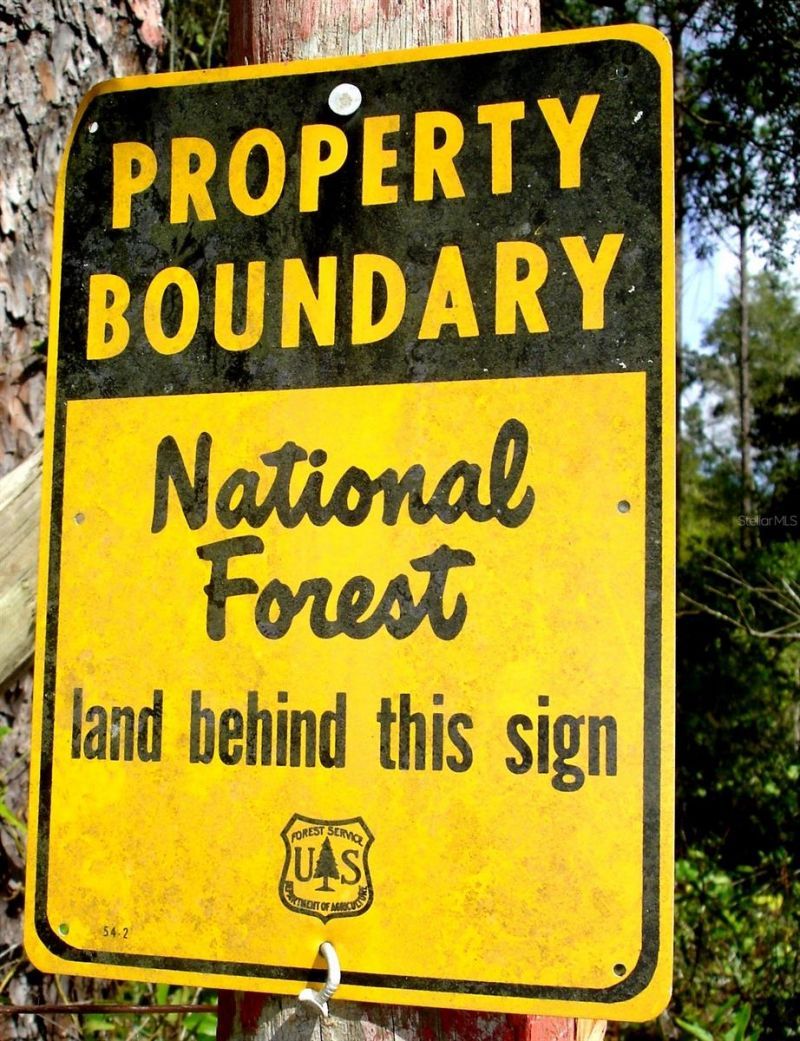 Forest  02 Road , Umatilla, FL 32784 Photo