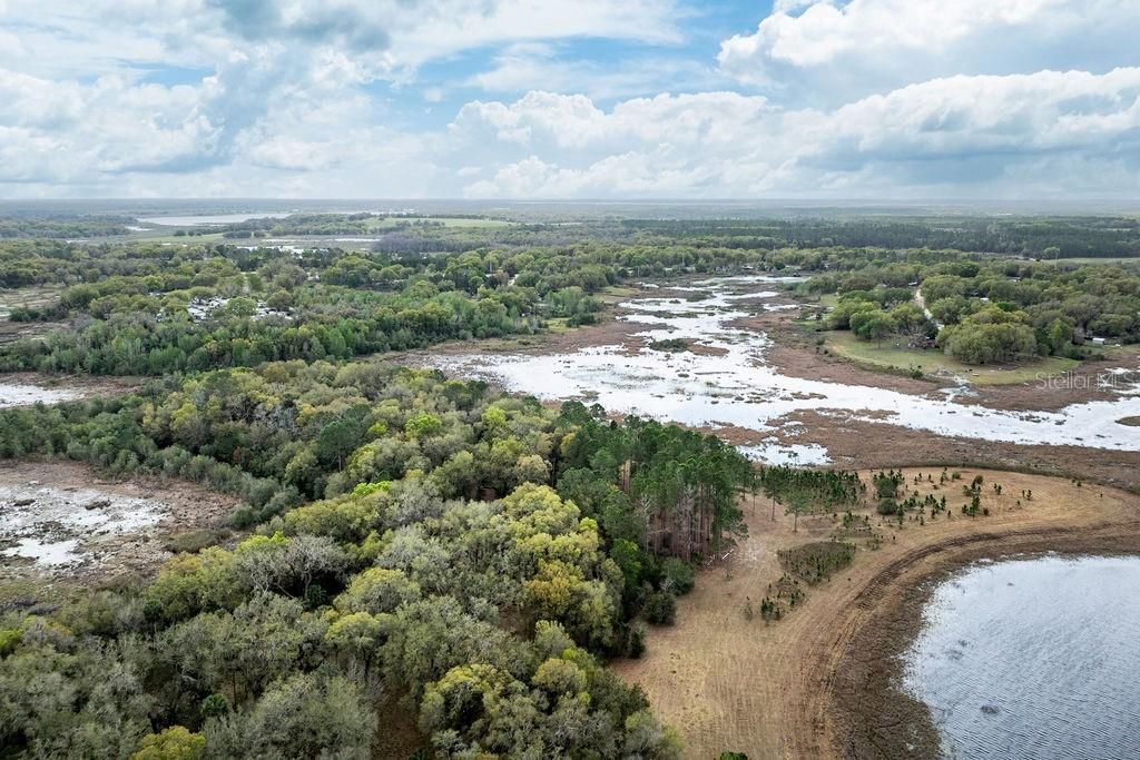 0 Forest  02, #2, SE 150th Street, Umatilla, FL 32784 Photo