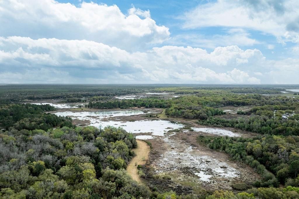 0 Forest  02, #2, SE 150th Street, Umatilla, FL 32784 Photo