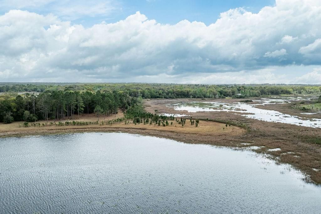 0 Forest  02, #2, SE 150th Street, Umatilla, FL 32784 Photo