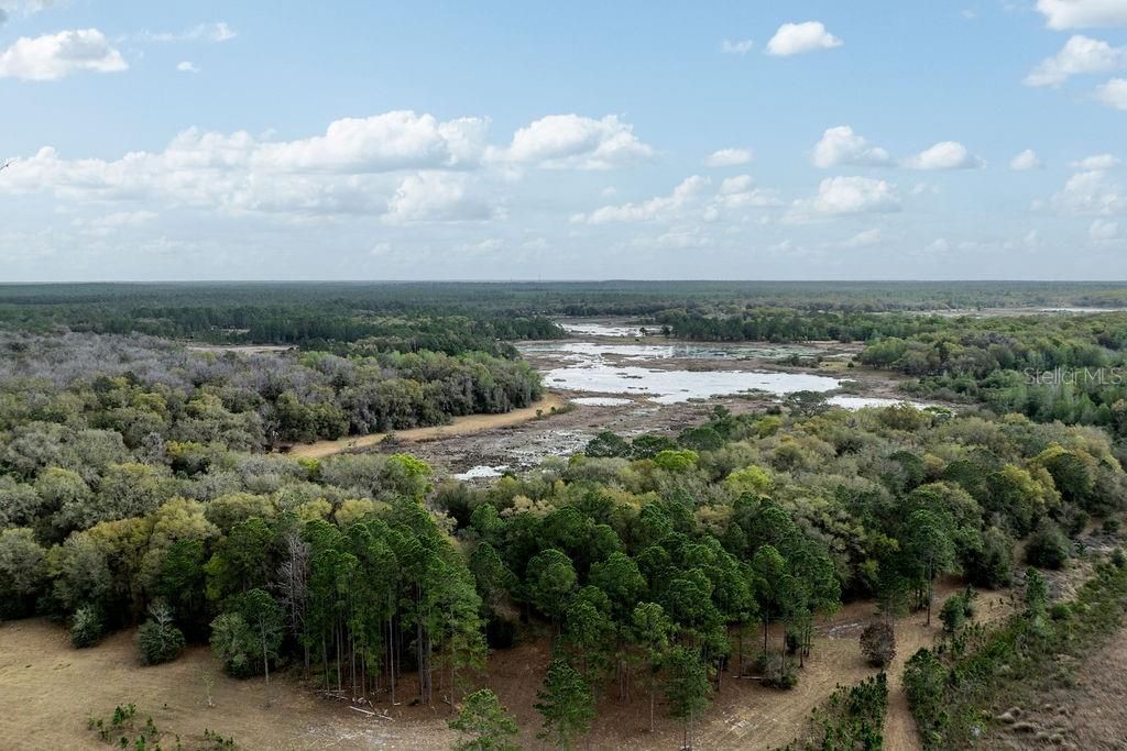 0 Forest  02, #2, SE 150th Street, Umatilla, FL 32784 Photo