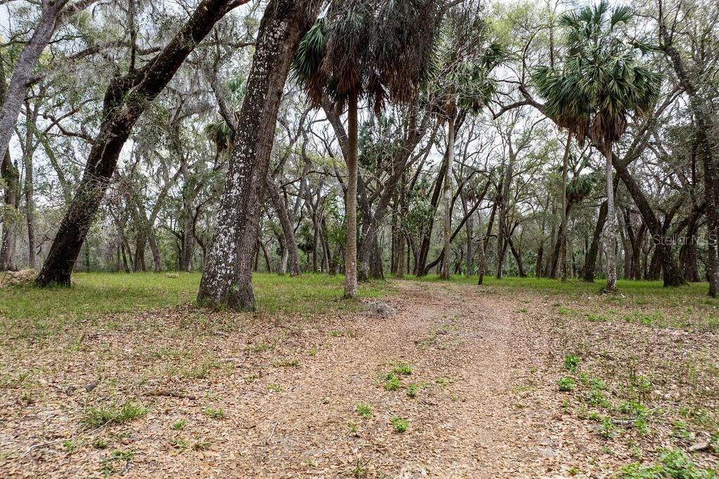 0 Forest  02, #2, SE 150th Street, Umatilla, FL 32784 Photo