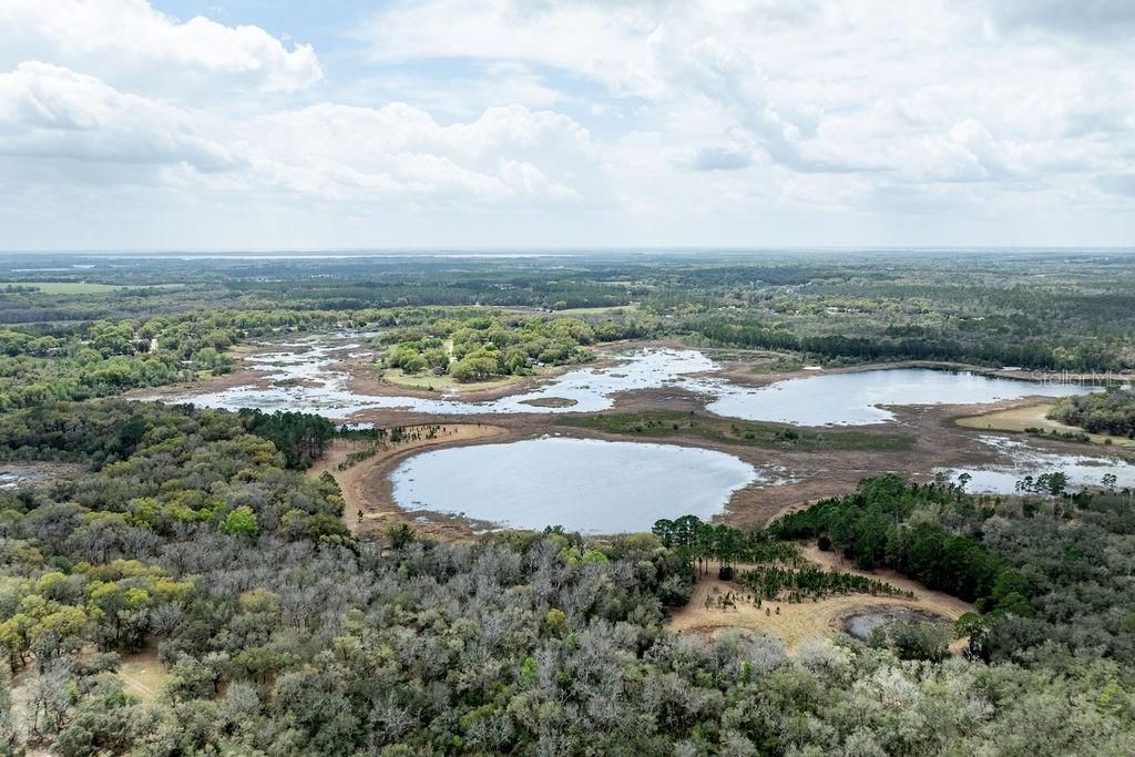 Forest  02 Road , Umatilla, FL 32784 Photo