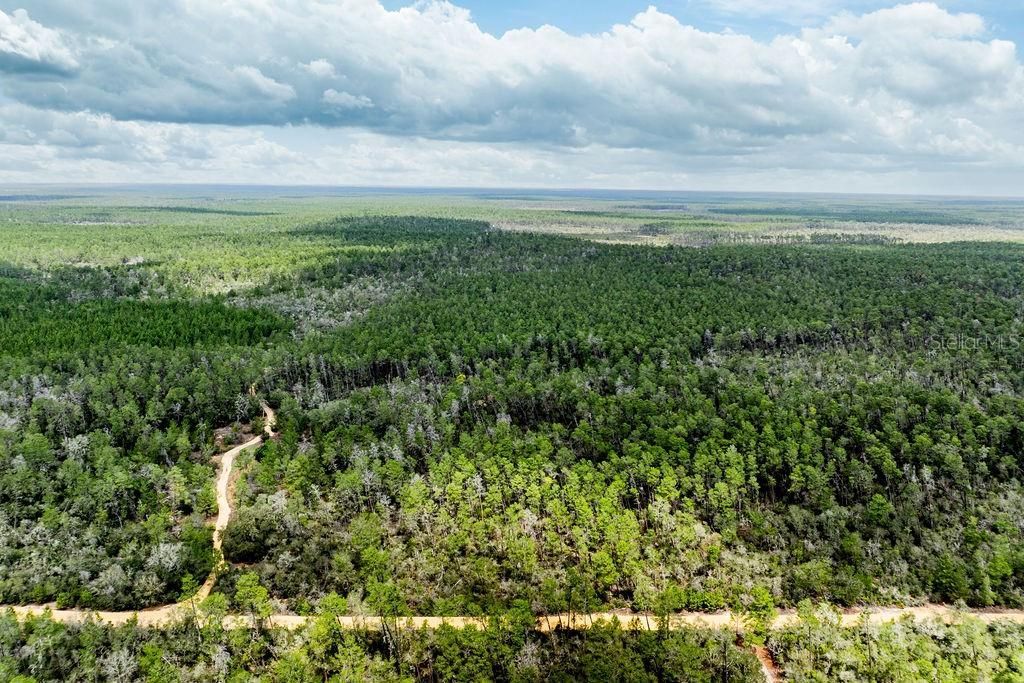 0 Forest  02, #2, SE 150th Street, Umatilla, FL 32784 Photo