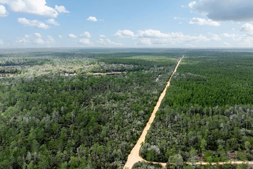 0 Forest  02, #2, SE 150th Street, Umatilla, FL 32784 Photo