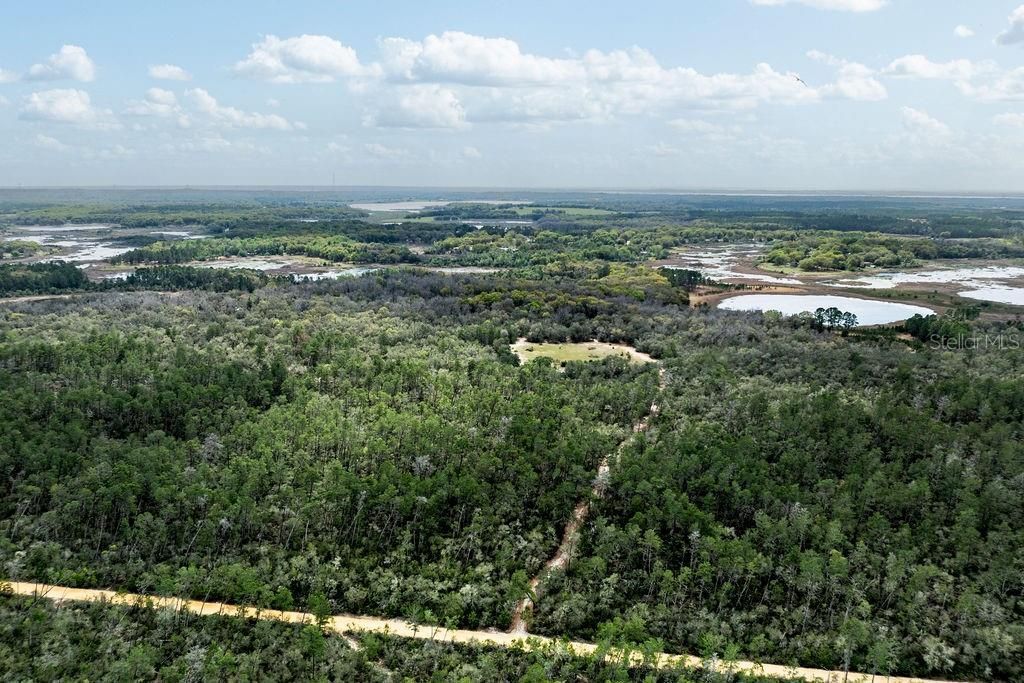 0 Forest  02, #2, SE 150th Street, Umatilla, FL 32784 Photo