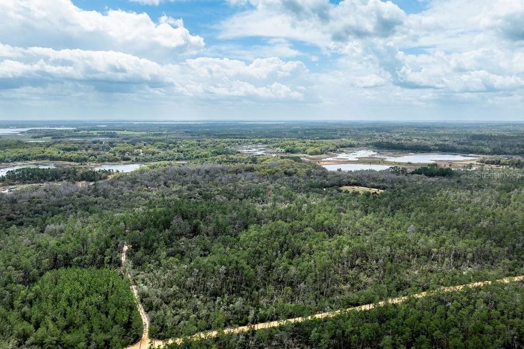 0 Forest  02, #2, SE 150th Street, Umatilla, FL 32784 Photo