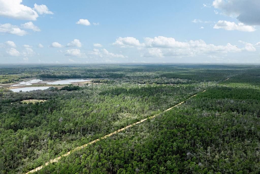 0 Forest  02, #2, SE 150th Street, Umatilla, FL 32784 Photo