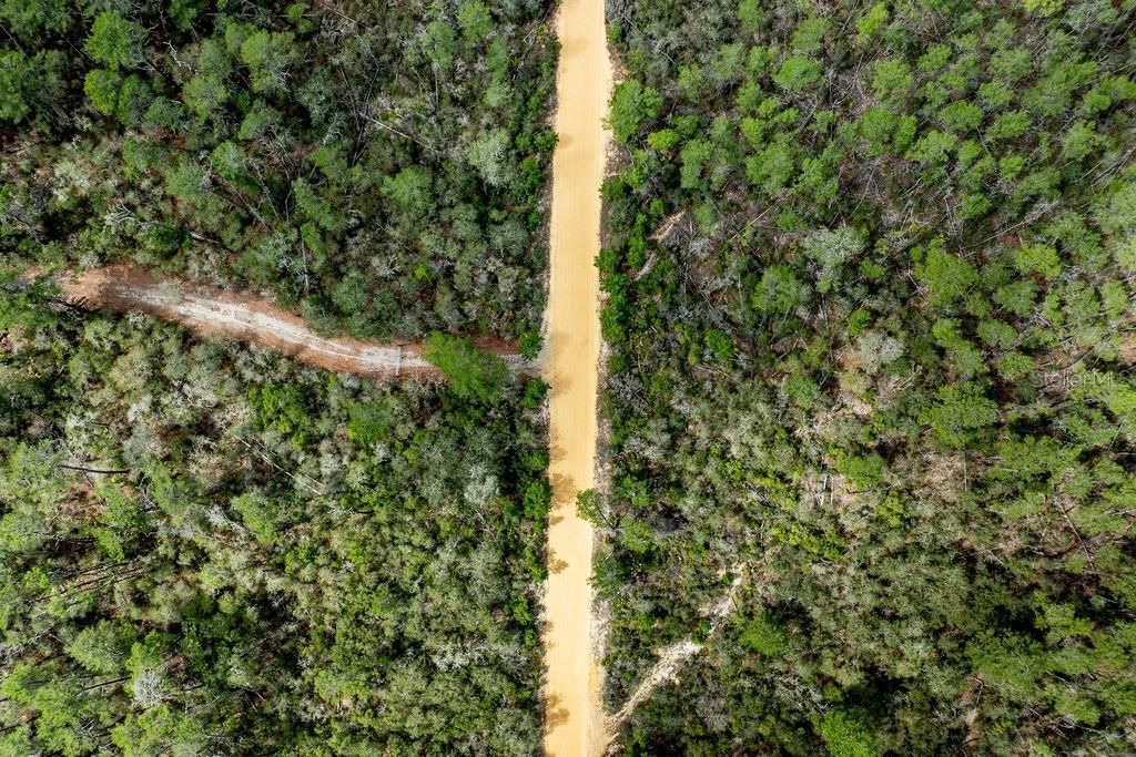 0 Forest  02, #2, SE 150th Street, Umatilla, FL 32784 Photo