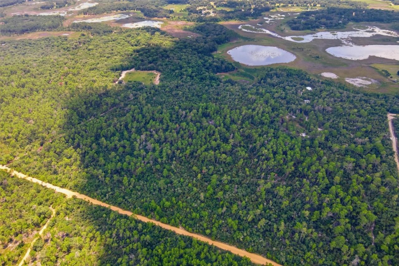 0 Forest  02, #2, SE 150th Street, Umatilla, FL 32784 Photo