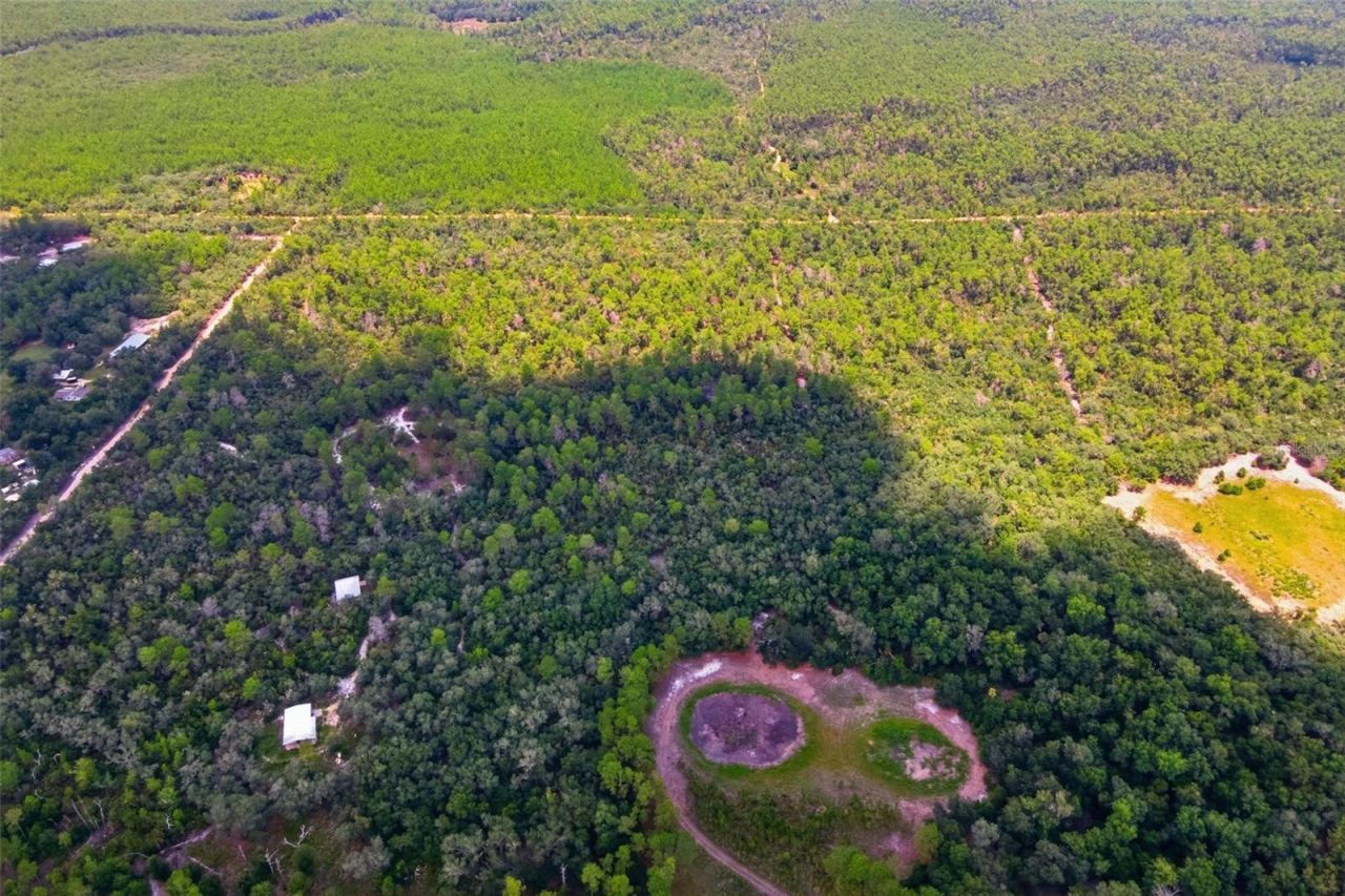0 Forest  02, #2, SE 150th Street, Umatilla, FL 32784 Photo